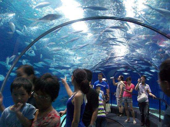 Shanghai Ocean Aquarium